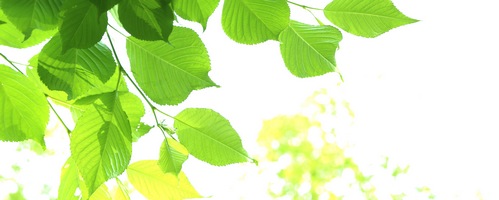 tavateee�i�^���@�e�B�[�j�̔��T�C�g��